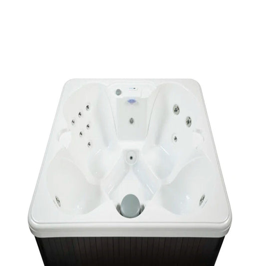 110 Volt 4 Person 14 - Jet Acrylic Rectangle Plug and Play Hot Tub